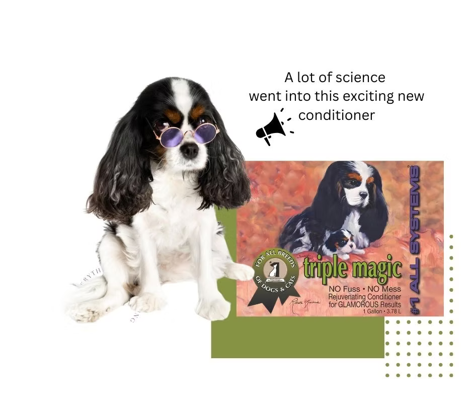 #1 All Systems Triple Magic Rejuvenating Conditioner for Dogs & Cats 3.78L (Gallon)