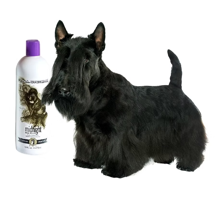 #1 All Systems Midnight Colour Enhancing Botanical Conditioner for Dogs & Cats 473ml