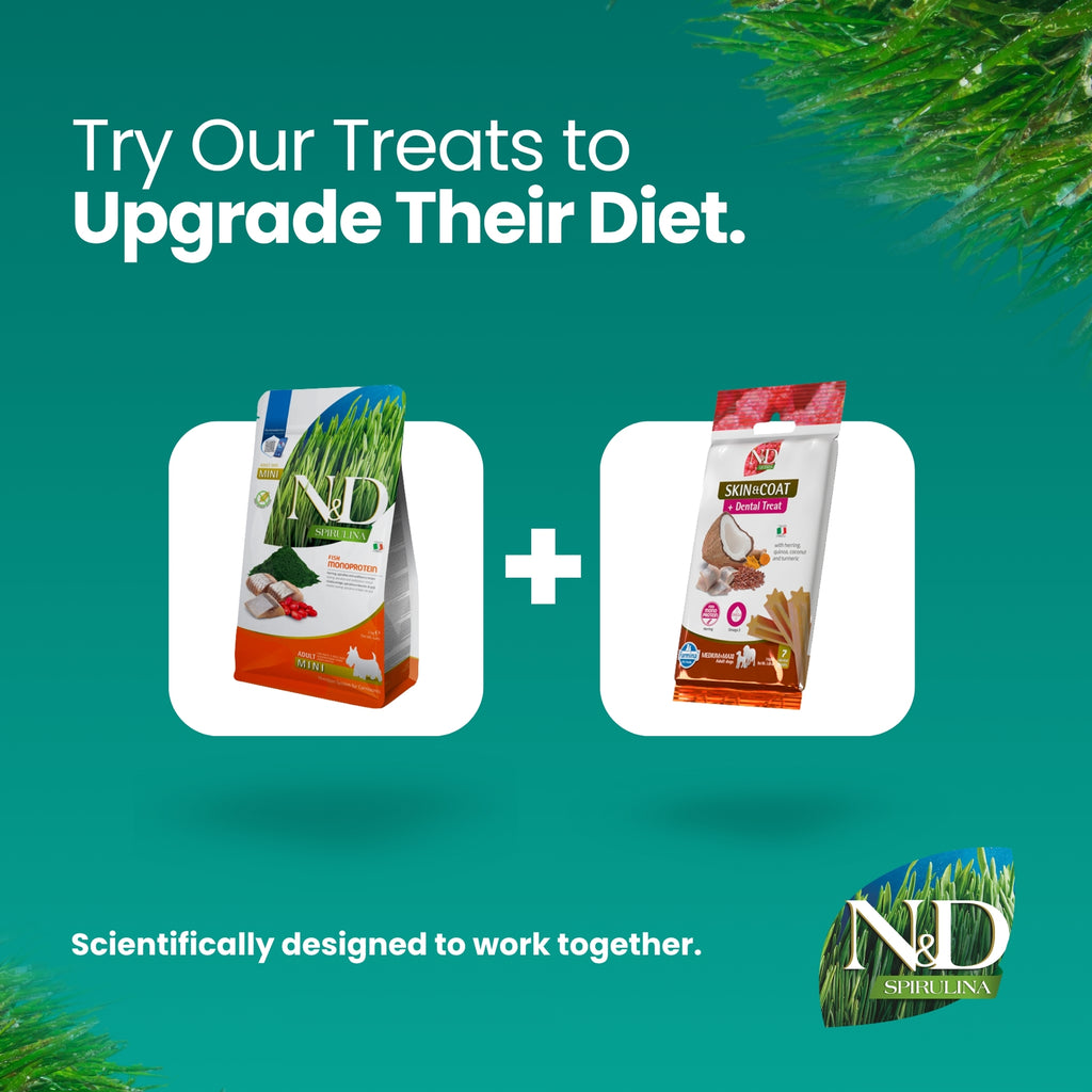 N&D Spirulina Herring & Wolfberry Adult Mini Dog 2kg