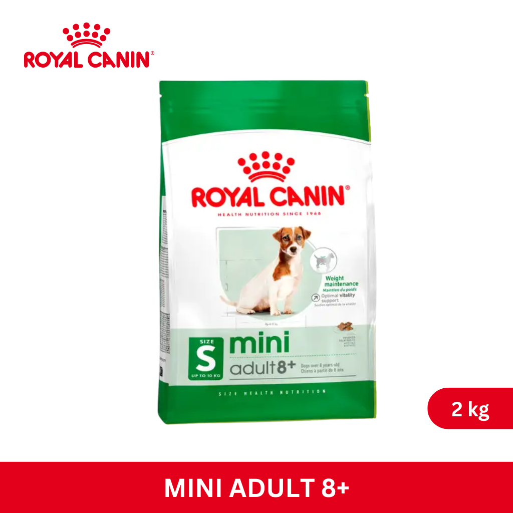 Royal Canin MINI ADULT 8+ 2kg