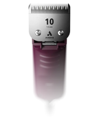 Andis AGCB Super 2-Speed Brushless Detachable Blade Clipper w/#10 Ceramic - Burgundy