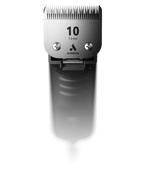 Andis AGCB 2-Speed Brushless Detachable Blade Clipper w/#10 Ceramic - Black