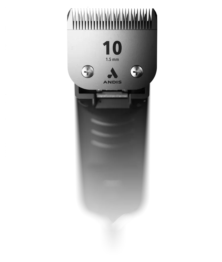 Andis AGCB 2-Speed Brushless Detachable Blade Clipper w/#10 Ceramic - Black