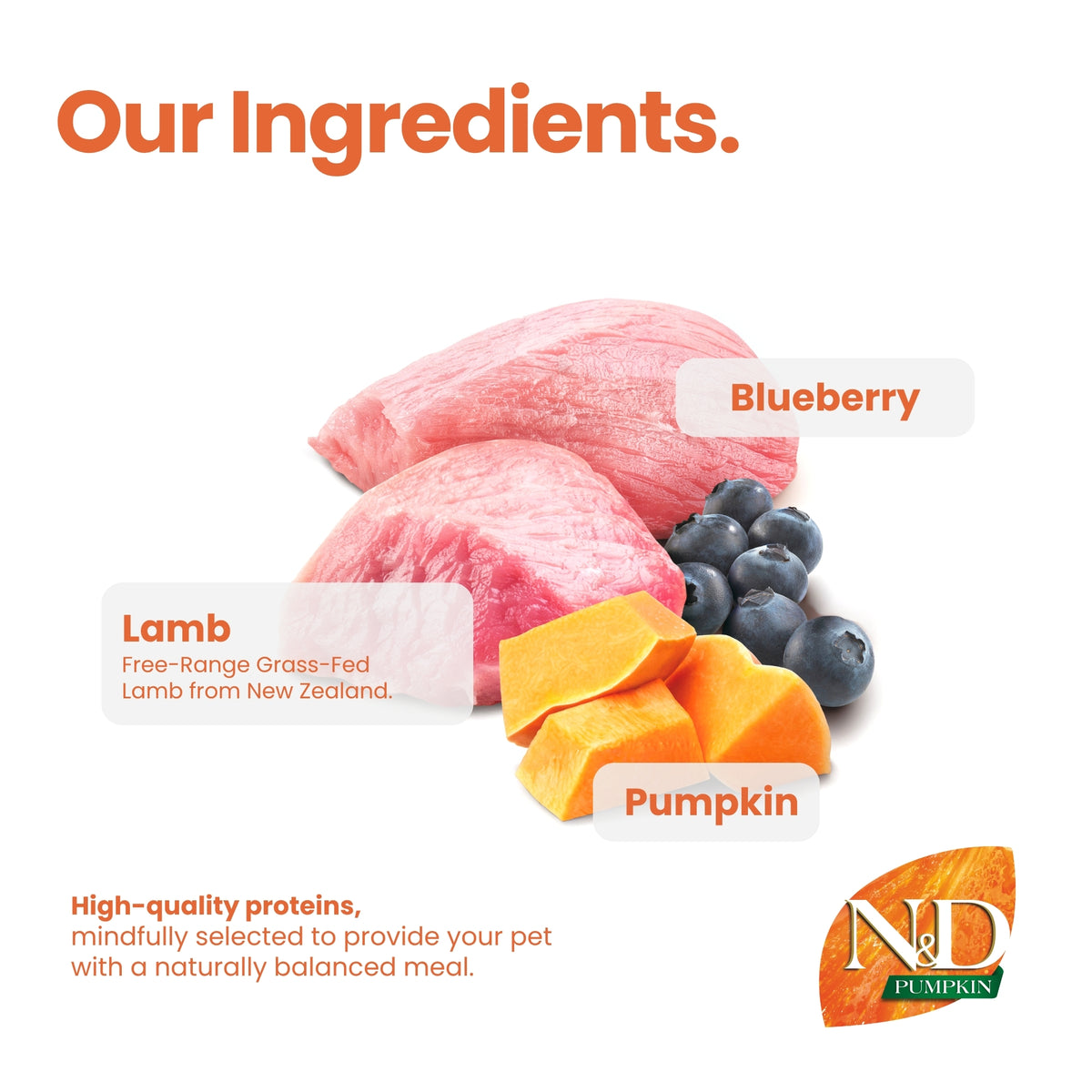 N&D Pumpkin Dental Care Tasty Treats Grain-Free Lamb, Pumpkin & Blueberry Adult Mini 60gm