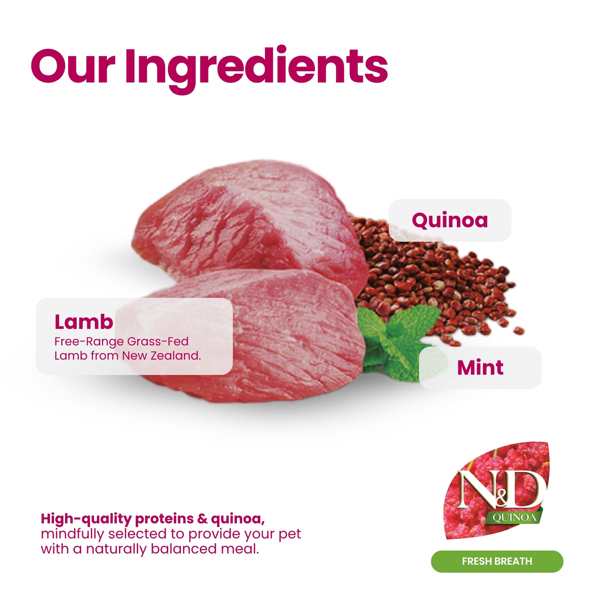 N&D Quinoa Dental Care Functional Treats Grain-Free Fresh Breath Lamb & Mint Adult Medium & Maxi 100gm
