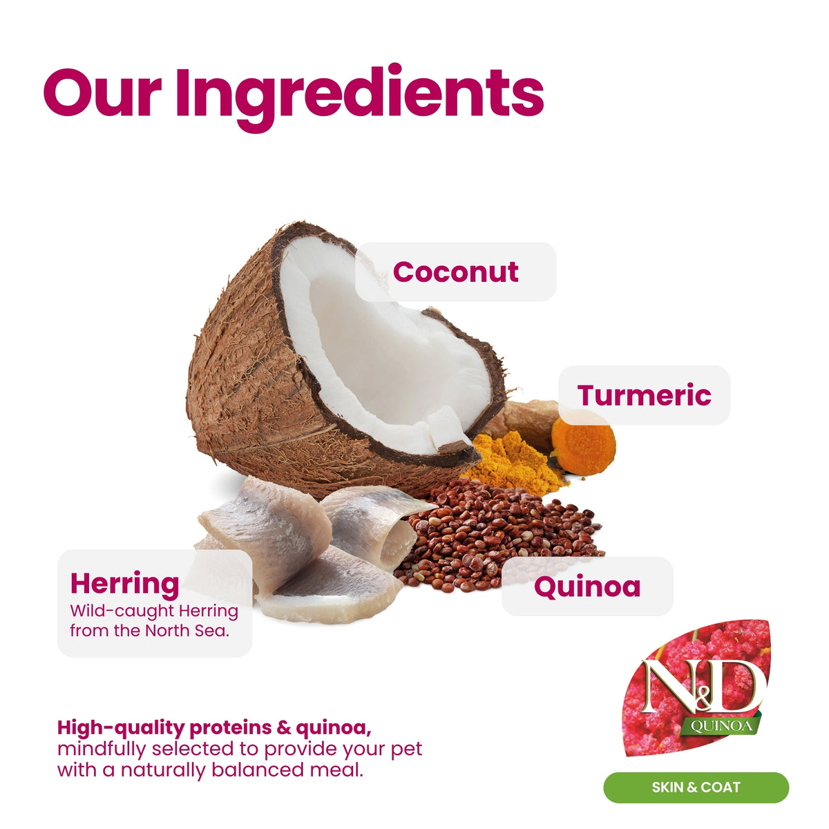 N&D Quinoa Dental Care Functional Treats Grain-Free Skin & Coat Herring with Quinoa, Coconut and Turmeric Adult Mini 60gm