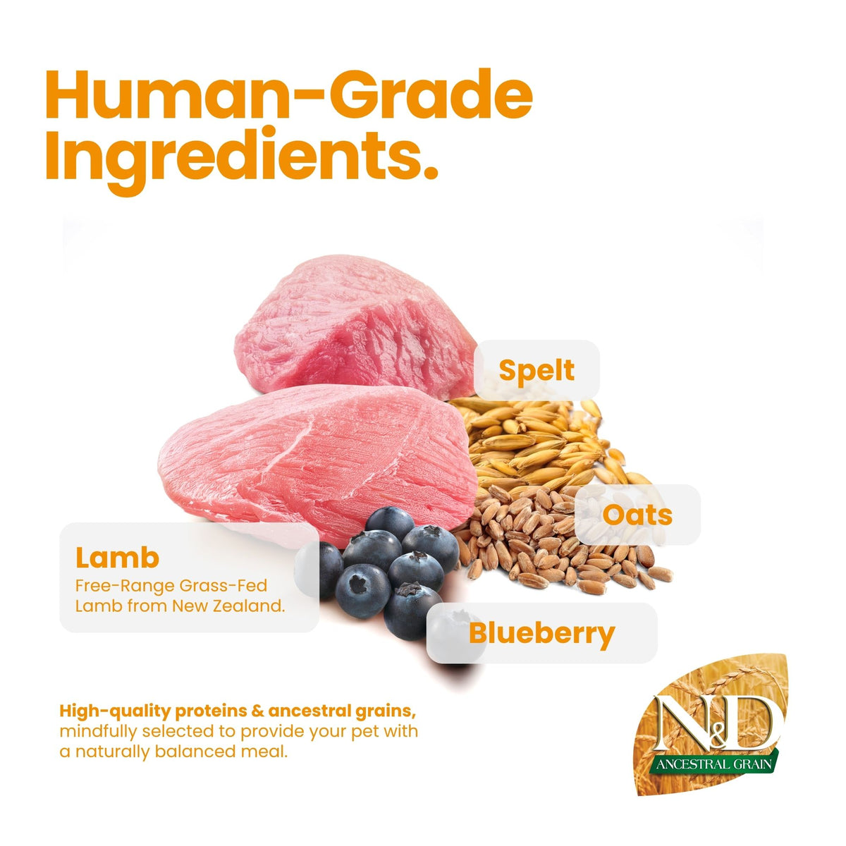 N&D Ancestral Grain Lamb & Blueberry Adult Mini Dog