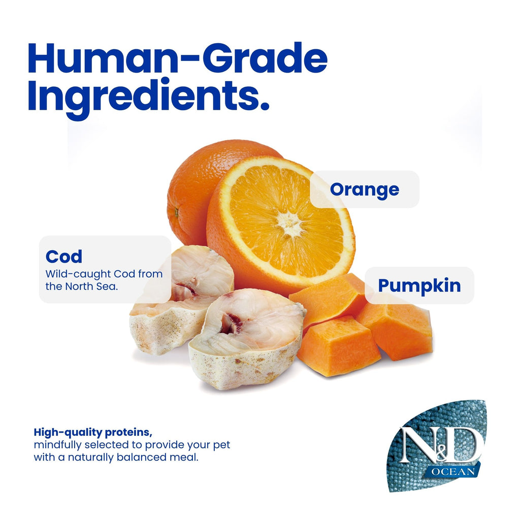 N&D Ocean Cod, Pumpkin & Orange Adult Mini Dog
