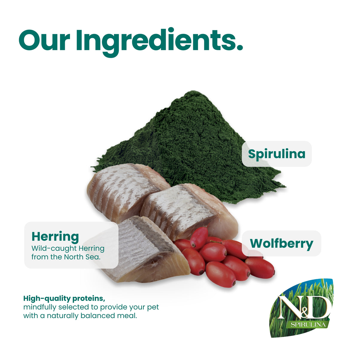 N&D Spirulina Herring & Wolfberry Adult Med/Maxi Dog 7kg