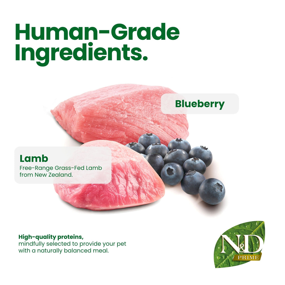 N&D Prime Lamb & Blueberry Cat Wet Food 70g