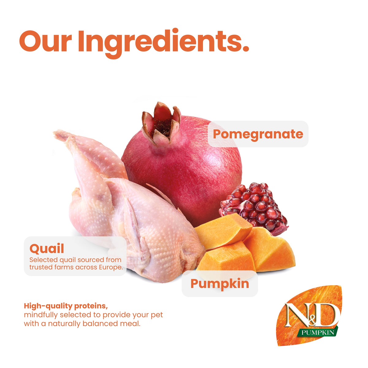N&D Pumpkin Quail & Pomegranate Adult Cat
