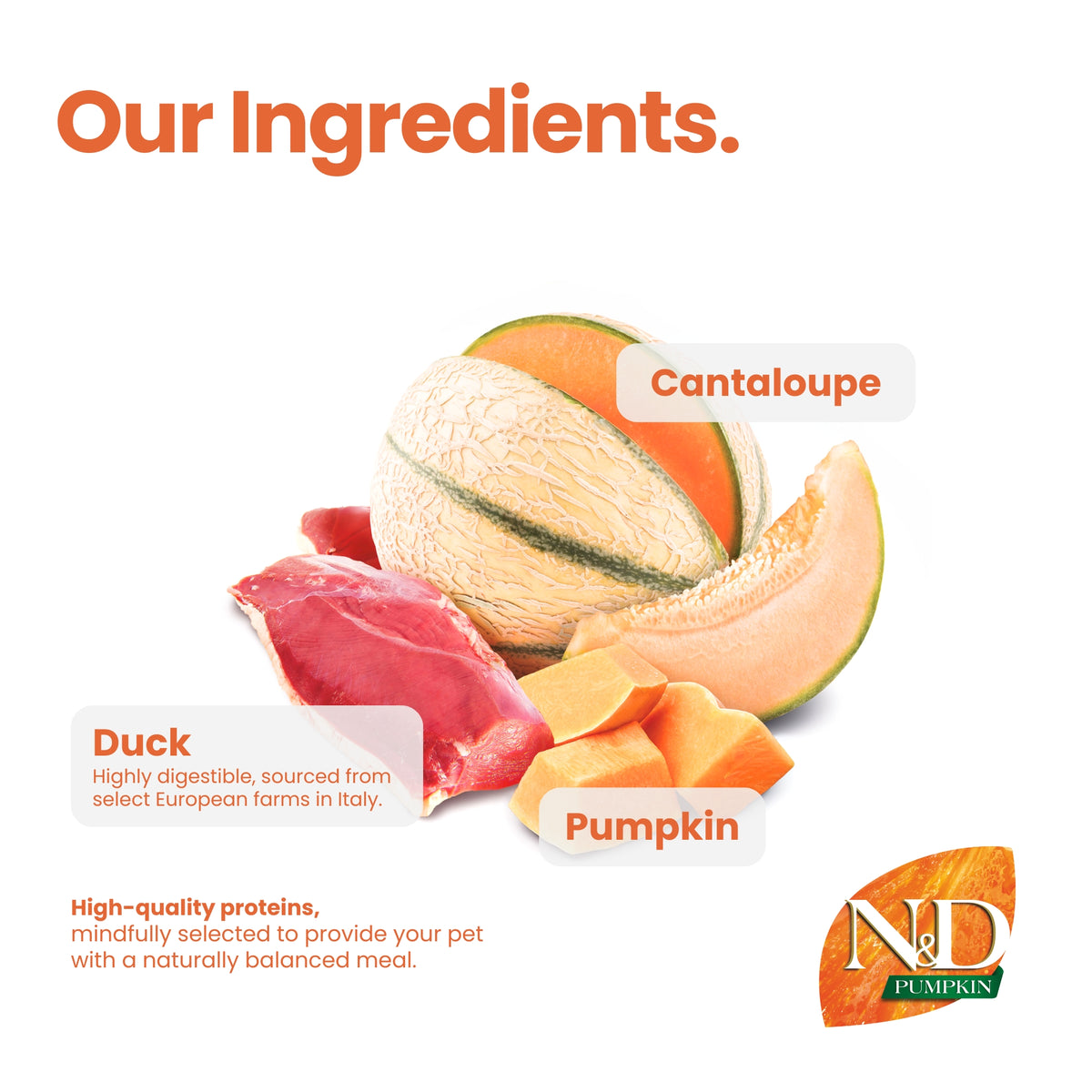 N&D Pumpkin Duck & Cantaloupe Adult Cat