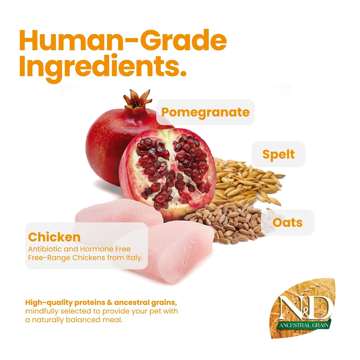N&D Ancestral Grain Chicken & Pomegranate Adult Med/Maxi Dog 15kg