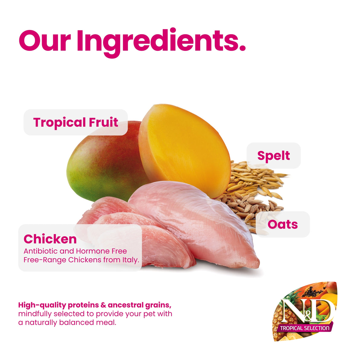 N&D Tropical Selection Chicken and Tropical Fruits Adult Cat