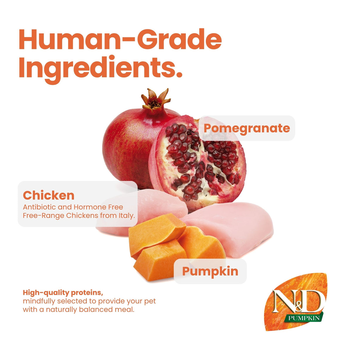 N&D Pumpkin Chicken & Pomegranate Adult Med/Maxi Dog 12kg