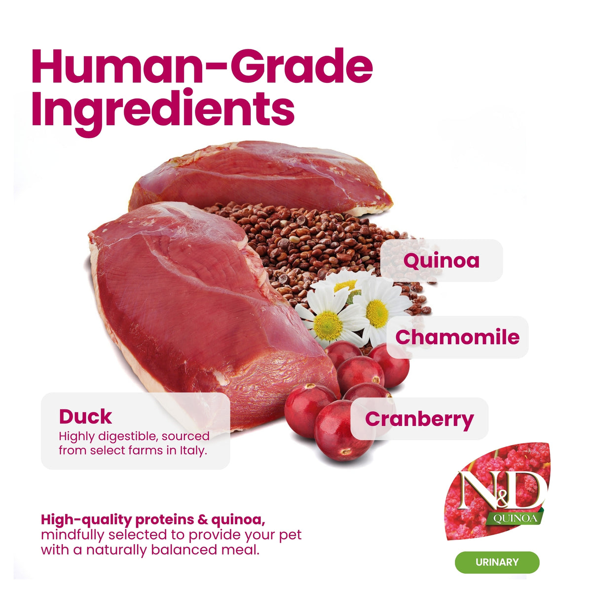 N&D Quinoa Urinary Duck Adult Cat