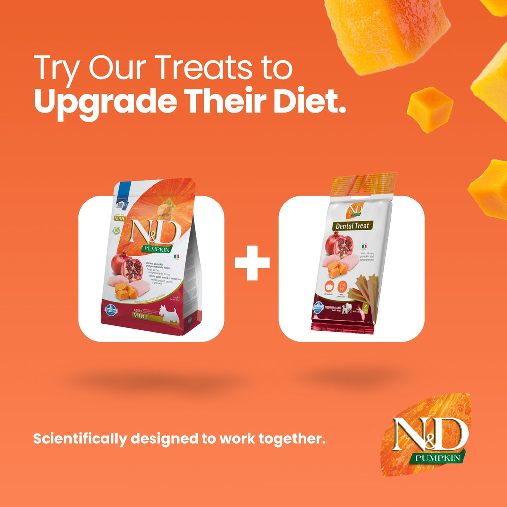 N&D Pumpkin Dental Care Tasty Treats Grain-Free Chicken, Pumpkin & Pomegranate Adult Mini 60gm