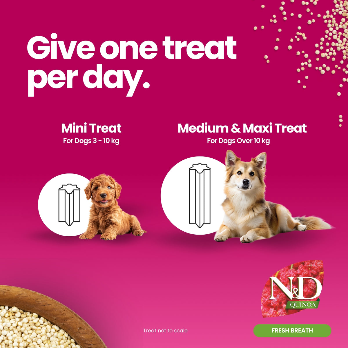N&D Quinoa Dental Care Functional Treats Grain-Free Fresh Breath Lamb & Mint Adult Medium & Maxi 100gm