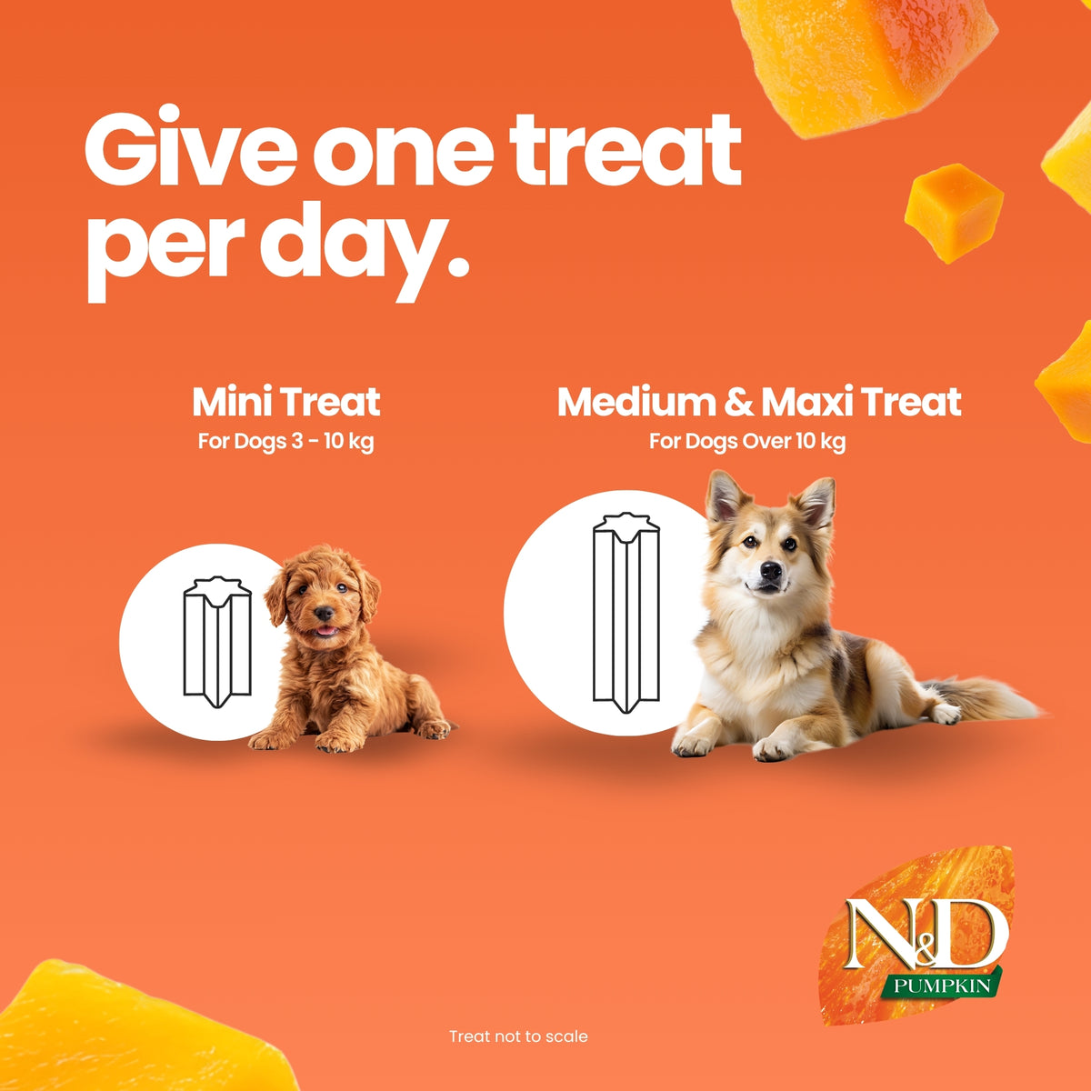 N&D Pumpkin Dental Care Tasty Treats Grain-Free Chicken, Pumpkin & Pomegranate Adult Mini 60gm