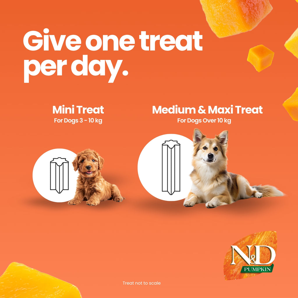 N&D Pumpkin Dental Care Tasty Treats Grain-Free Lamb, Pumpkin & Blueberry Adult Medium & Maxi 100gm