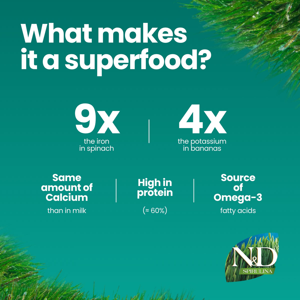 N&D Spirulina Lamb & Wolfberry Adult Med/Maxi Dog 7kg