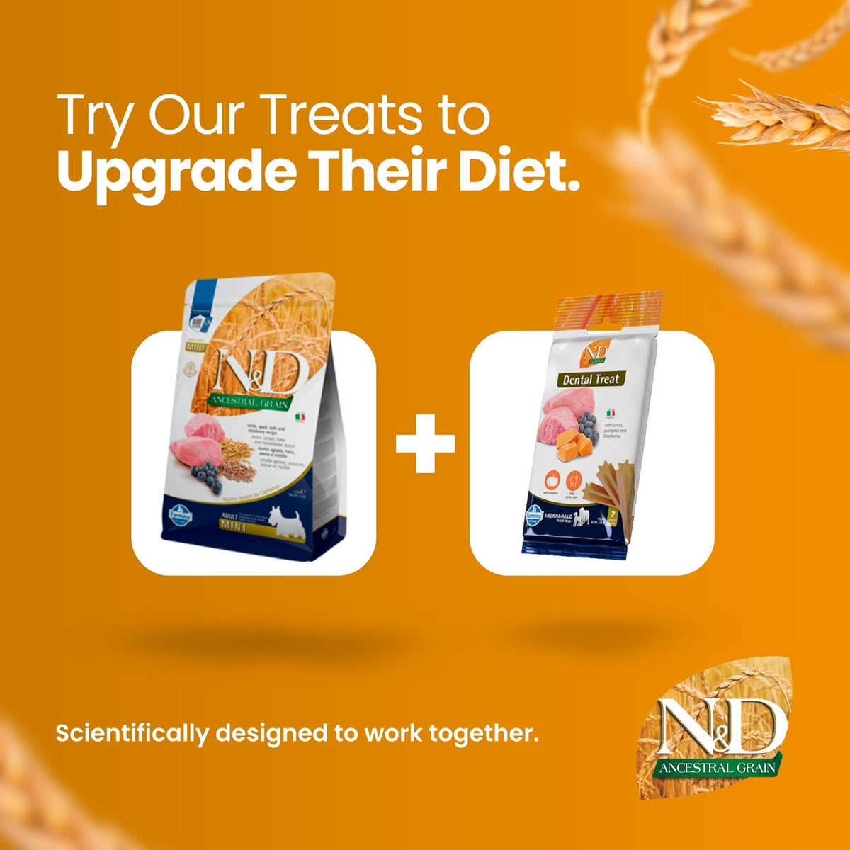 N&D Ancestral Grain Lamb & Blueberry Adult Mini Dog