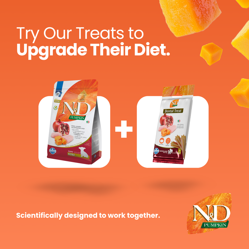 N&D Pumpkin Chicken & Pomegranate Puppy Mini