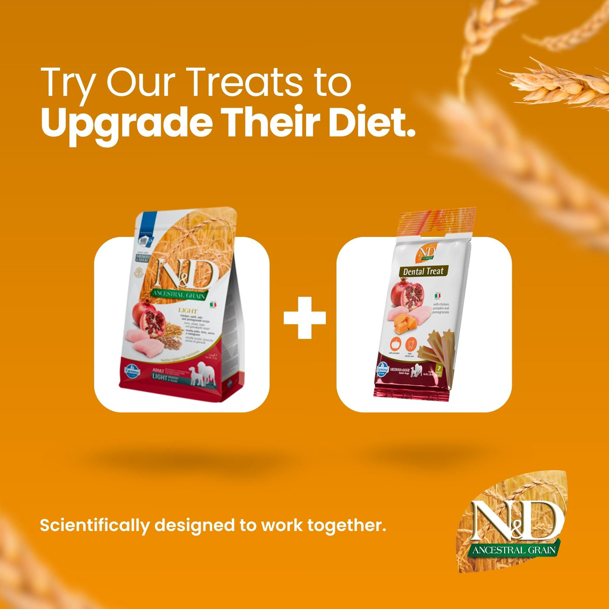 N&D Ancestral Grain Chicken & Pomegranate Adult Med/Maxi Dog 15kg