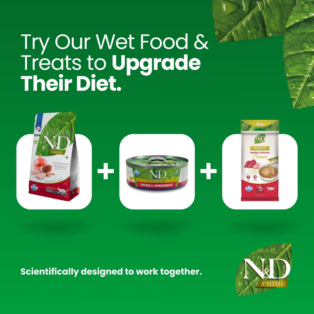 N&D Prime Chicken & Pomegranate Adult Cat