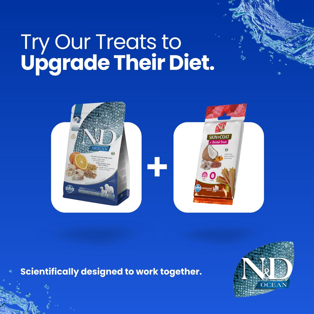 N&D Ocean Cod, Spelt, Oats & Orange Adult Med/Maxi Dog 12kg