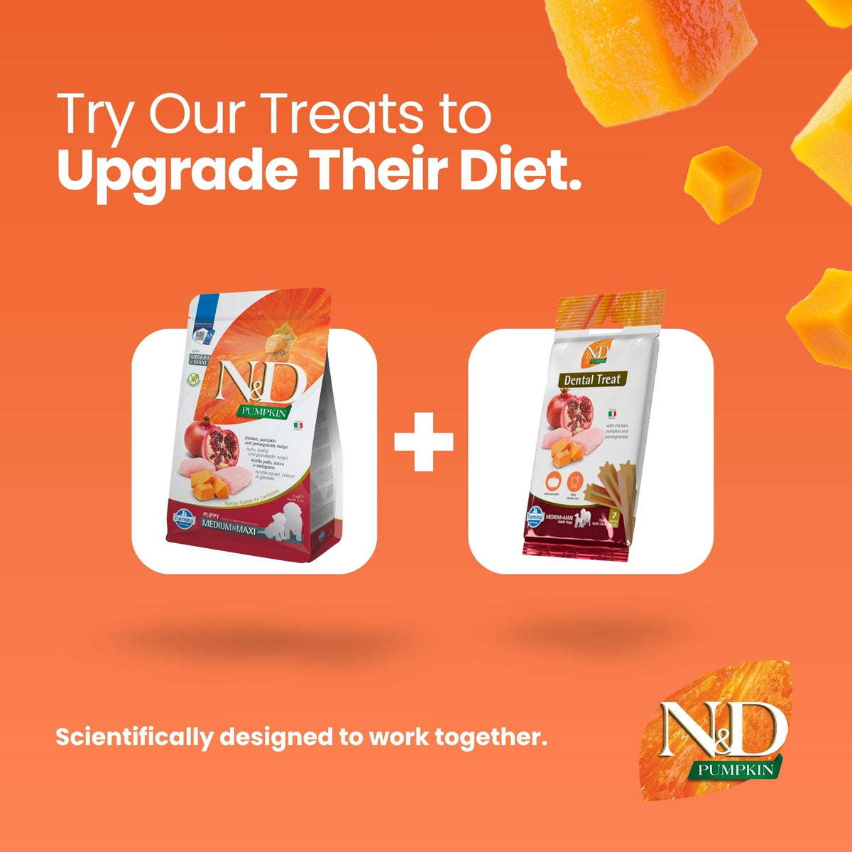 N&D Pumpkin Chicken & Pomegranate Puppy Med/Maxi 12kg