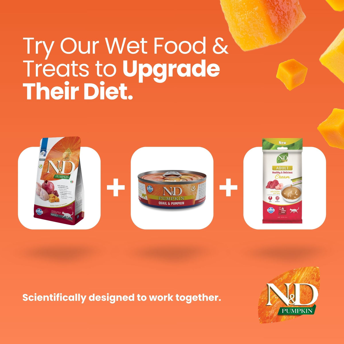 N&D Pumpkin Quail & Pomegranate Adult Cat
