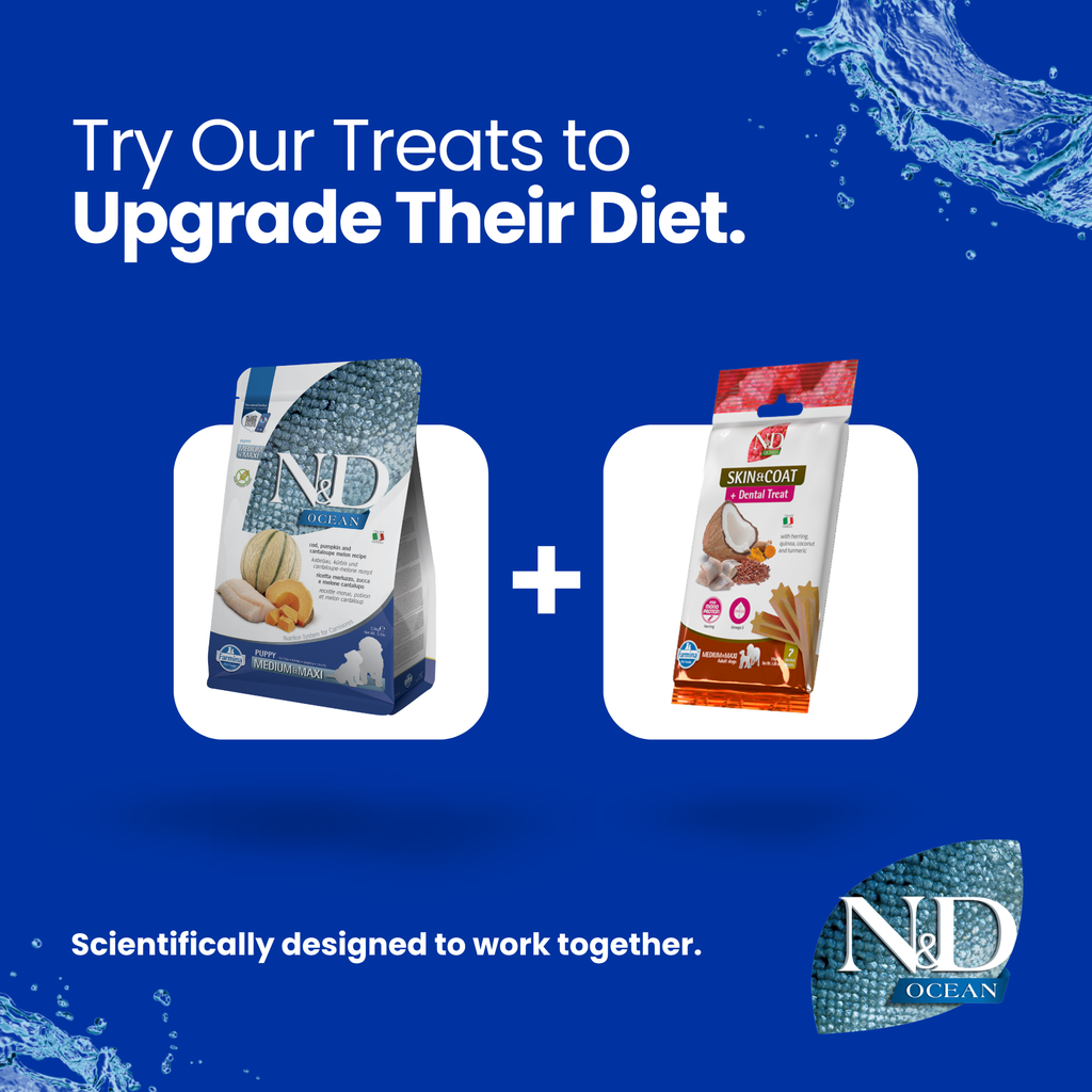 N&D Ocean Cod, Pumpkin and Cantaloupe Melon Puppy Med/Maxi 12kg