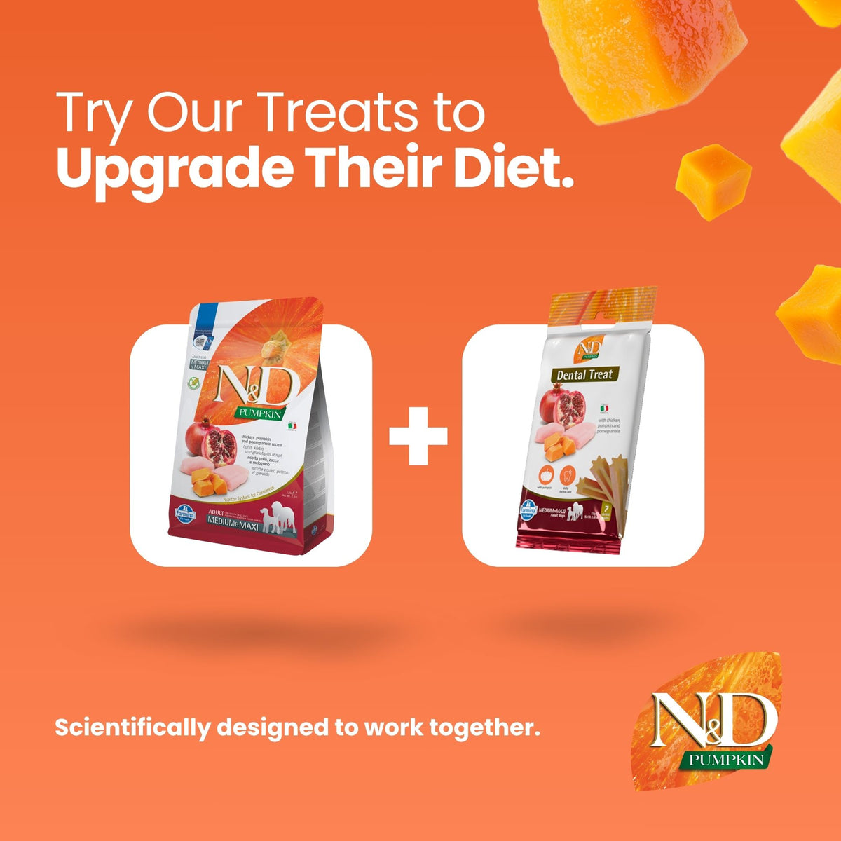 N&D Pumpkin Chicken & Pomegranate Adult Med/Maxi Dog 12kg