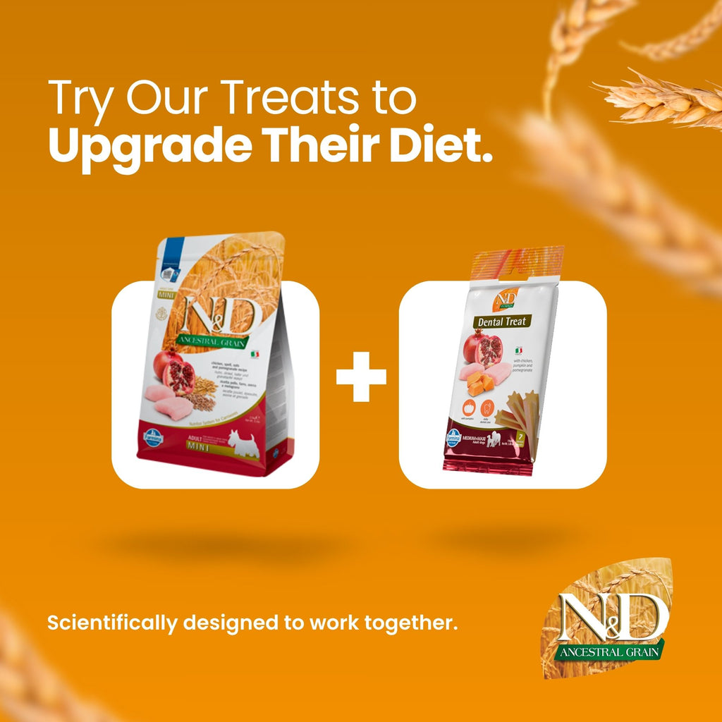 N&D Ancestral Grain Chicken & Pomegranate Adult Mini Dog