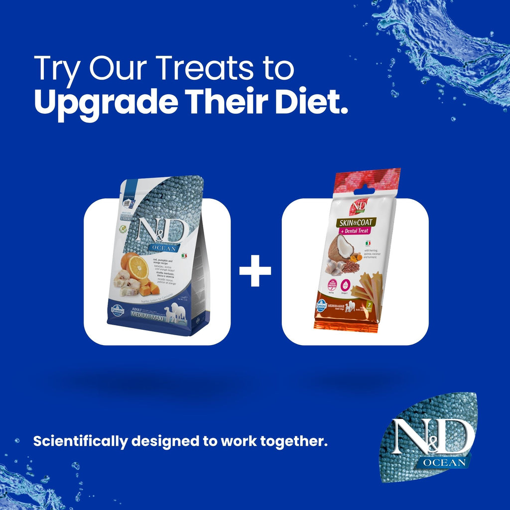 N&D Ocean Cod, Pumpkin & Orange Adult Med/Maxi Dog 12kg