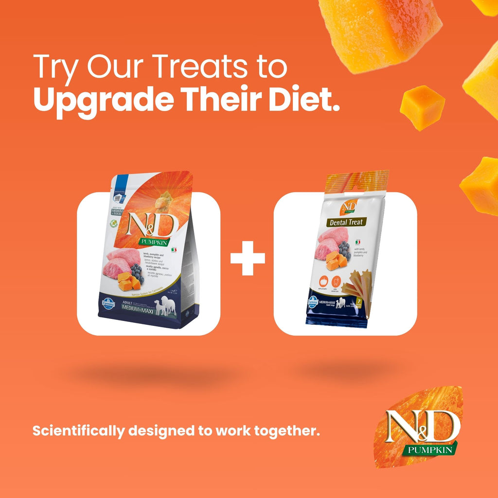 N&D Pumpkin Lamb & Blueberry Adult Med/Maxi Dog 12kg