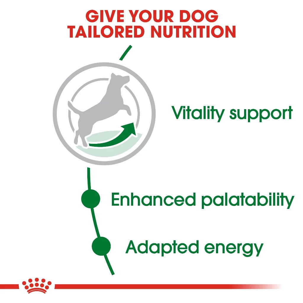 Royal Canin MINI ADULT 8+ 2kg
