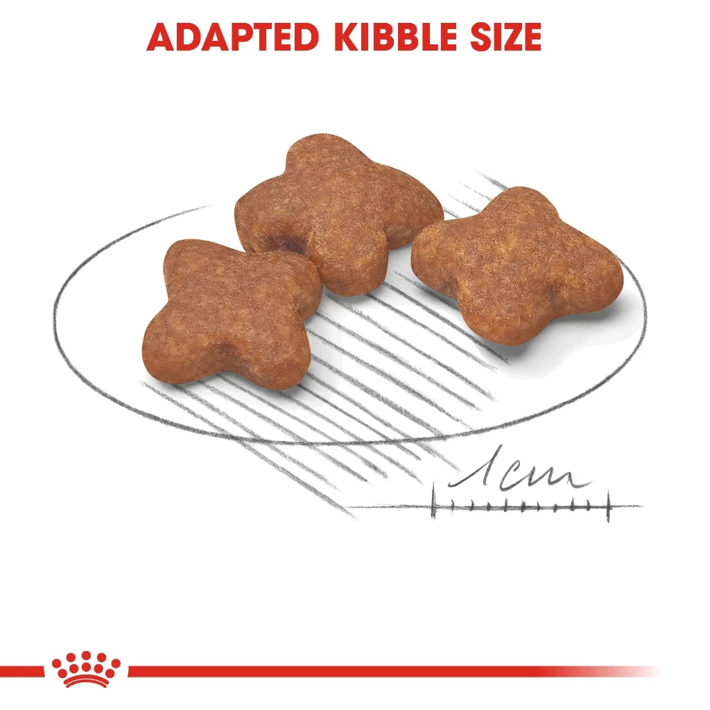 Royal Canin MINI ADULT 8+ 2kg
