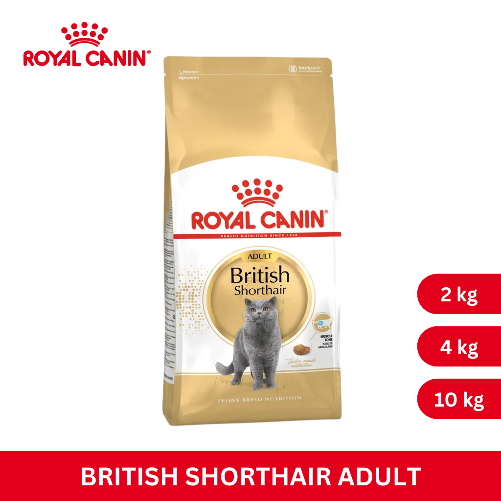 Royal Canin BRITISH SHORT HAIR ADULT