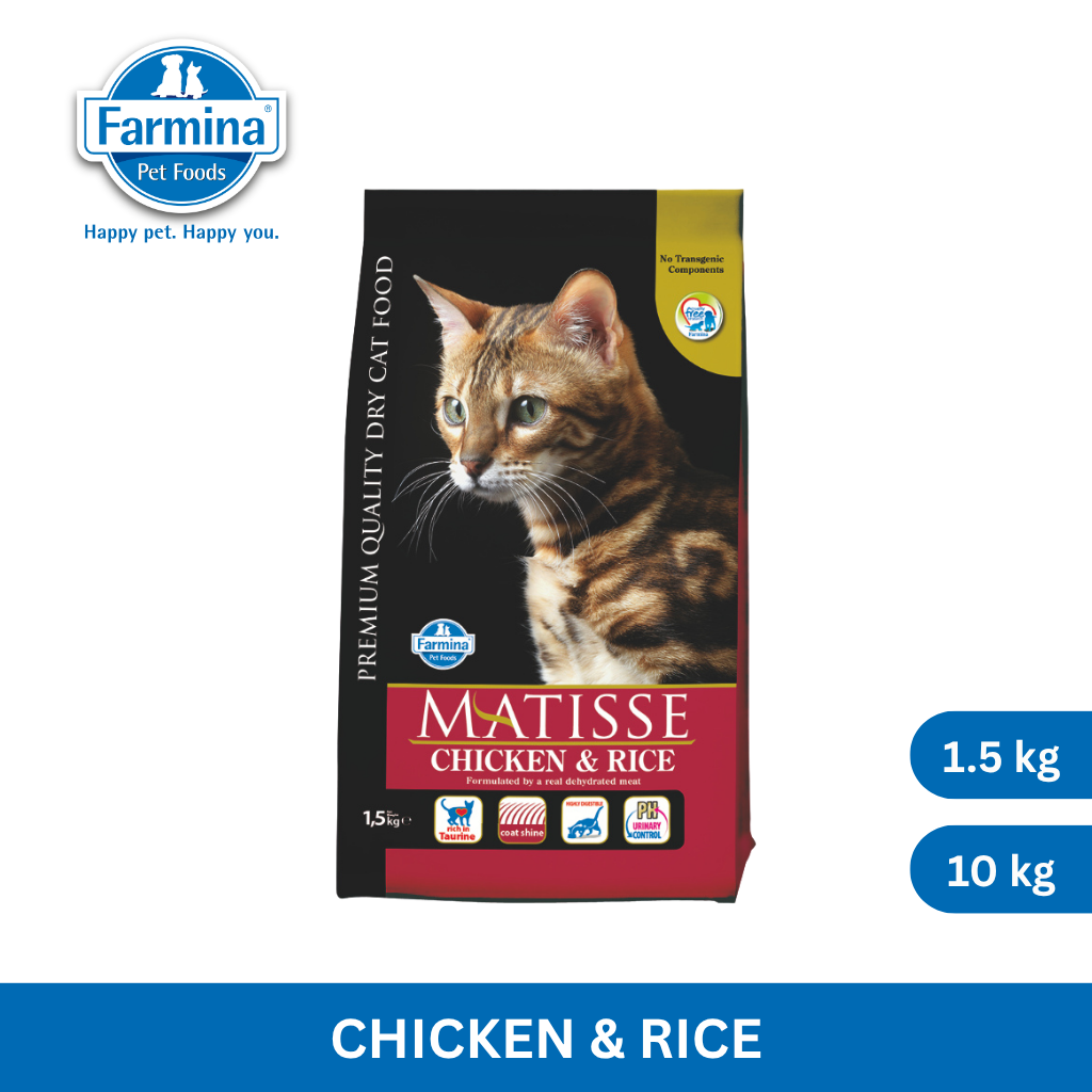 Matisse Chicken & Rice