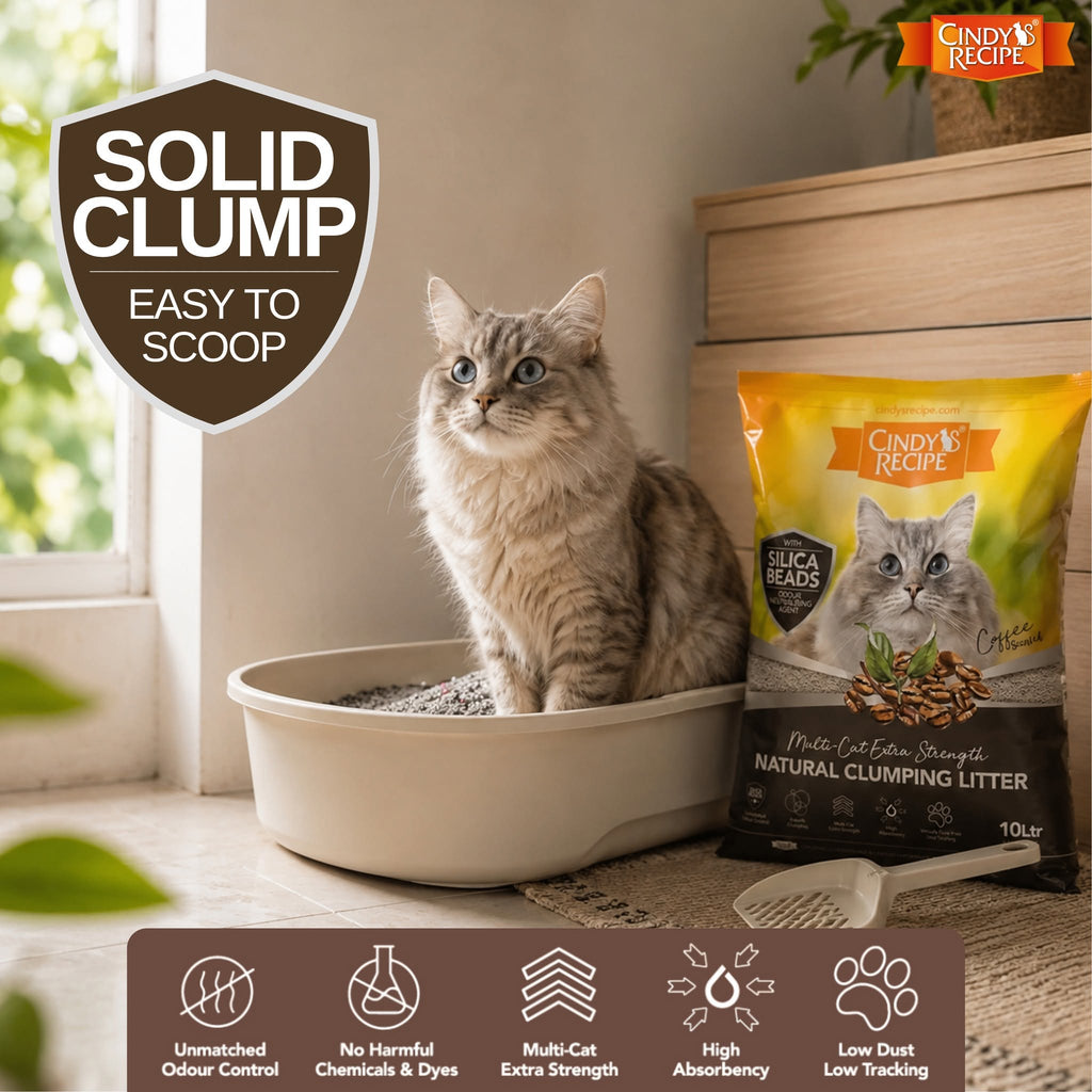 Cindy's Recipe Natural Clumping Litter 10 L - Assorted