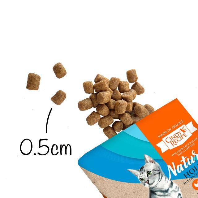 Cindy's Recipe Naturelle Holistic Kitten Chicken Salmon Recipe