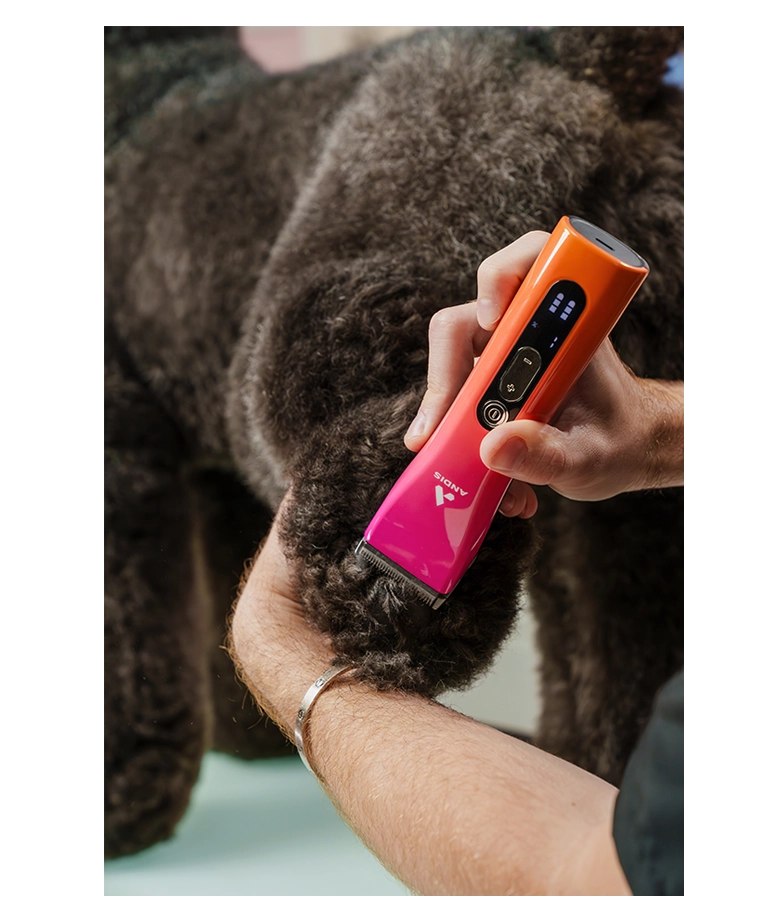 Andis ProClip 5-in-1 Cord/Cordless Clipper - Sunset