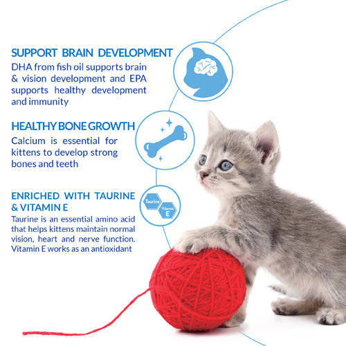 CIAO Churu for Kitten Chicken Recipe 14gm x 4