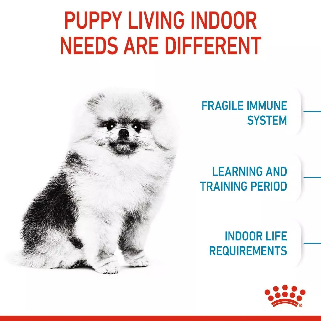 Royal Canin MINI INDOOR PUPPY 1.5KG