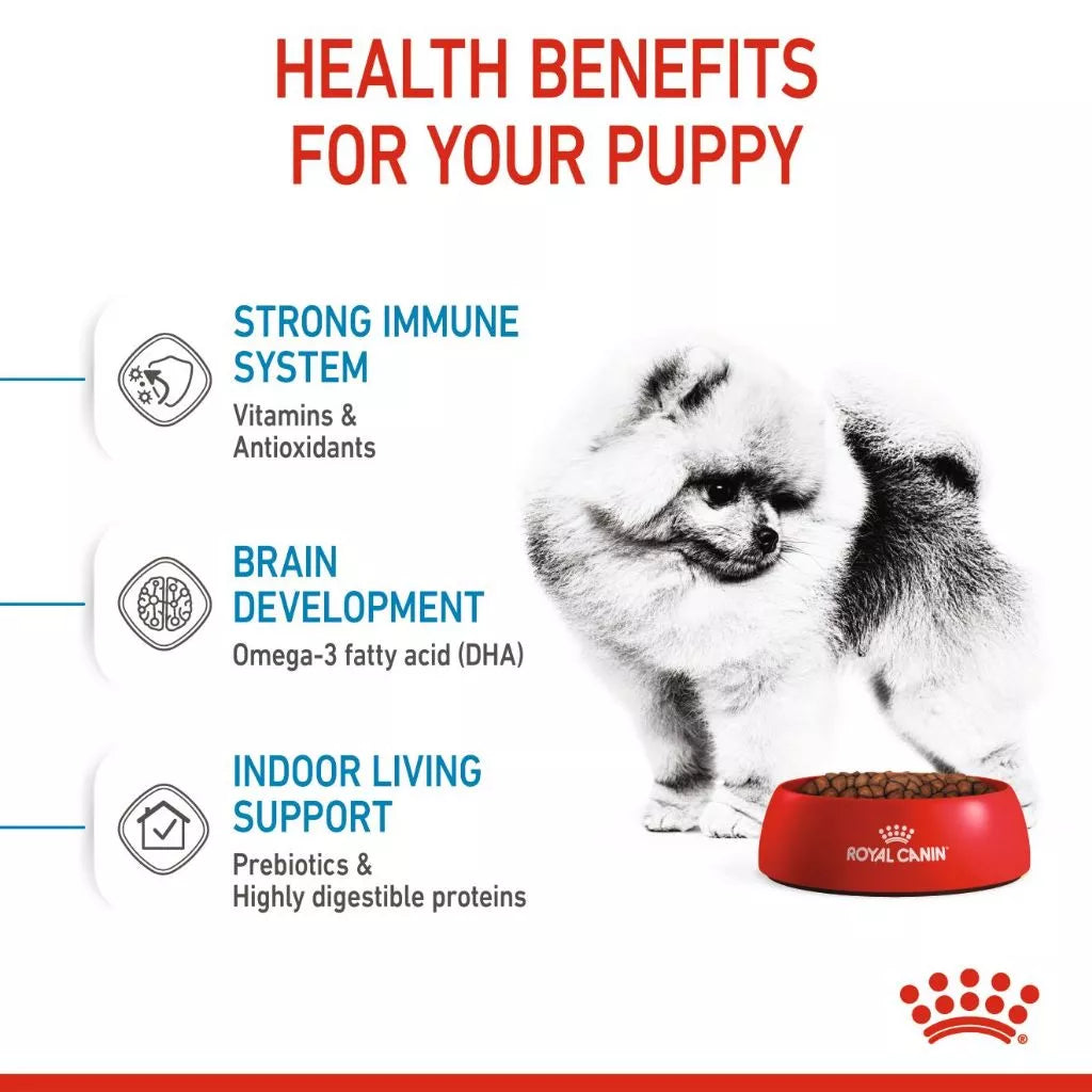 Royal Canin MINI INDOOR PUPPY 1.5KG