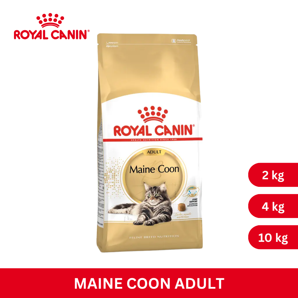 Royal Canin MAINECOON ADULT