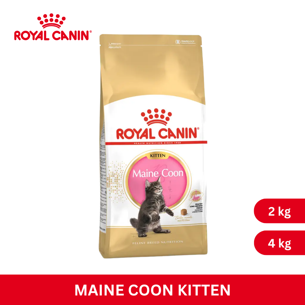 Royal Canin MAINECOON KITTEN