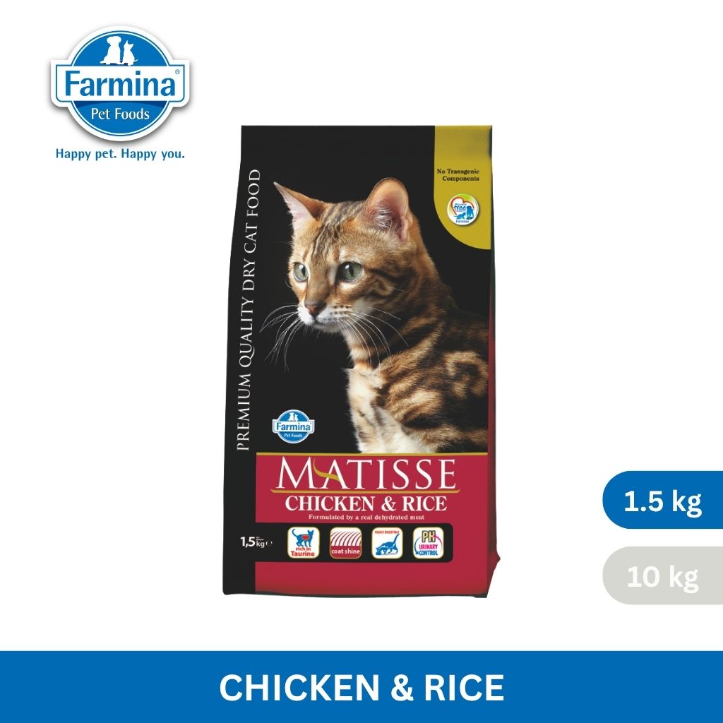 Matisse Chicken & Rice